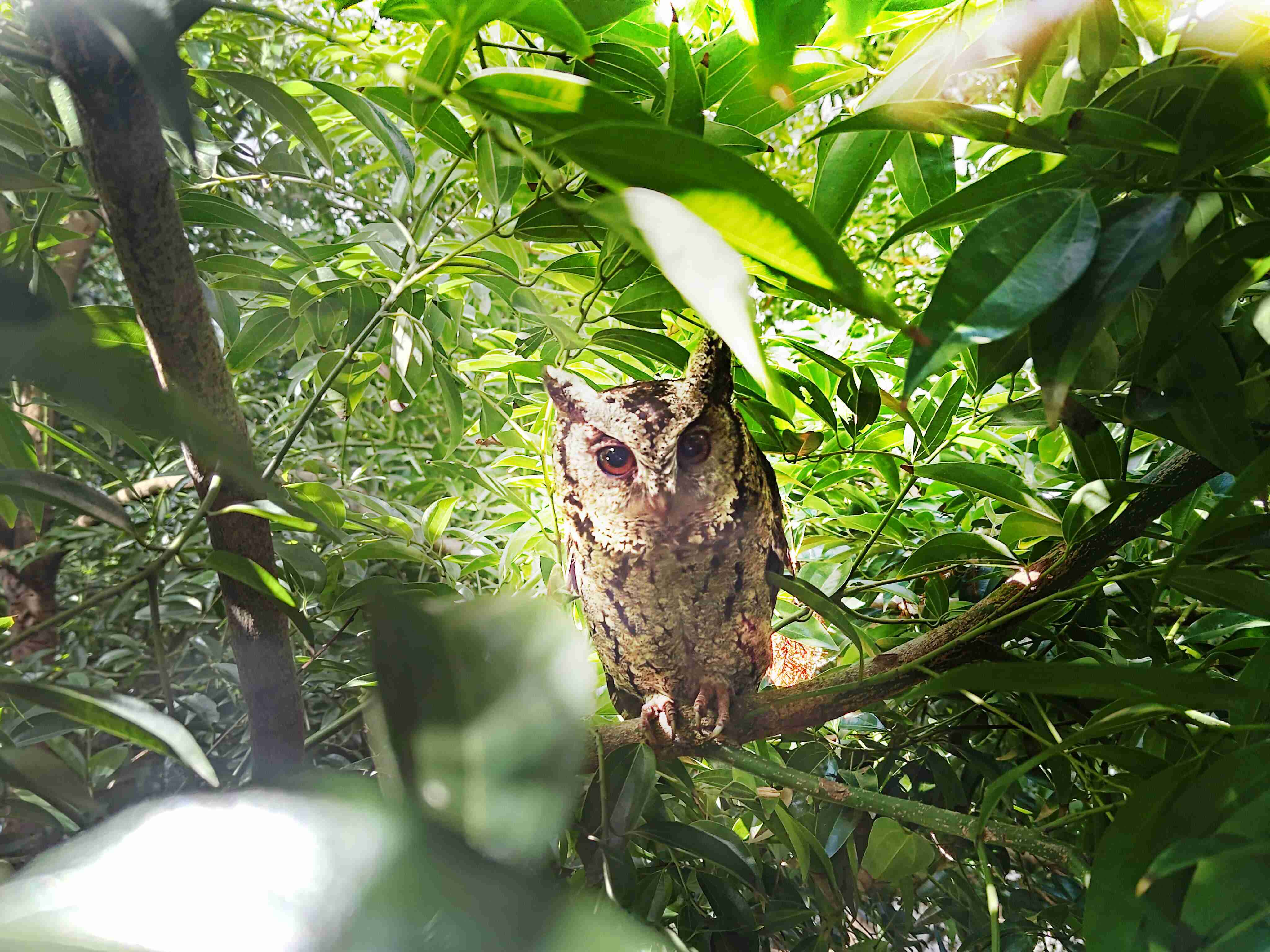菠菜论坛致力提倡净零绿生活，，，，16年以来在全球各厂区植树逾百万棵，，，，造就各厂区树木蔚然成林，，，，犹如森林工厂，，，成为许多生物的栖息地
